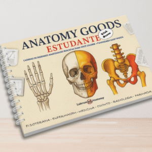 anatomy goods