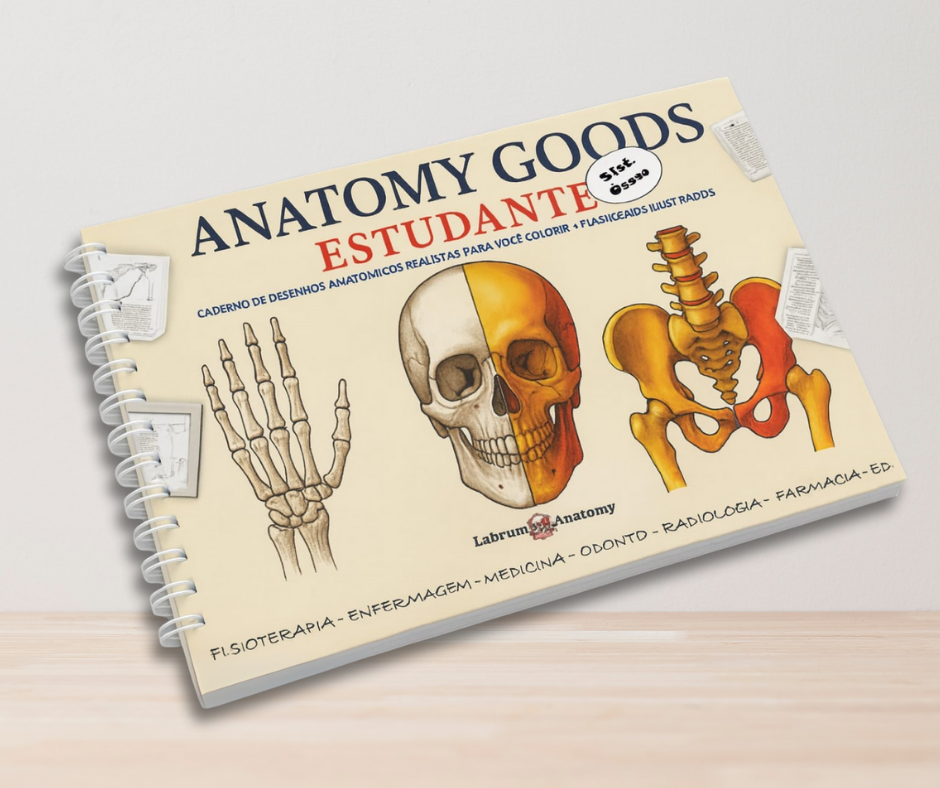 anatomy goods