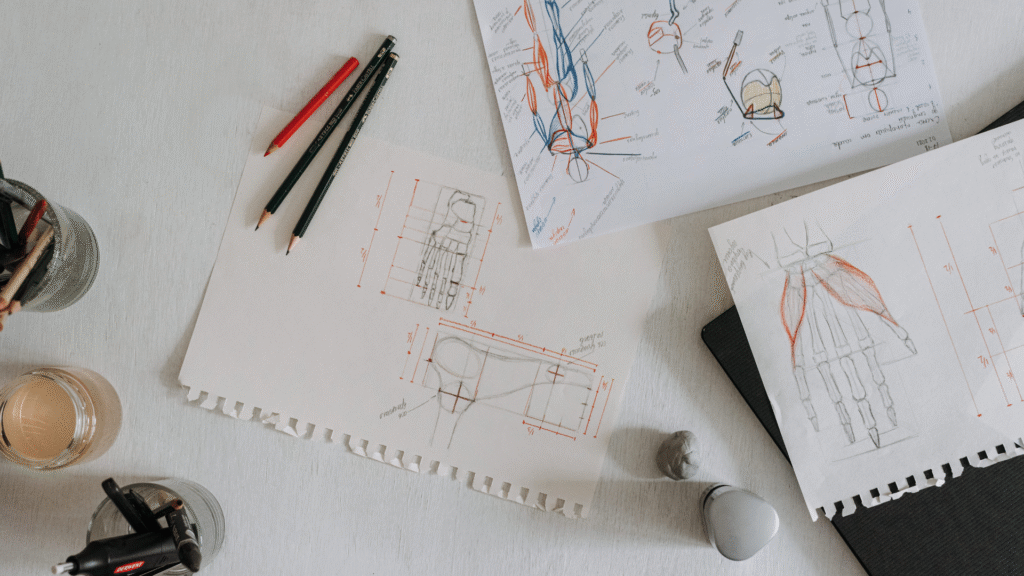 exercícios anatomia