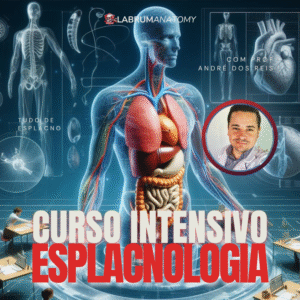 curso intensivo de esplacnologia