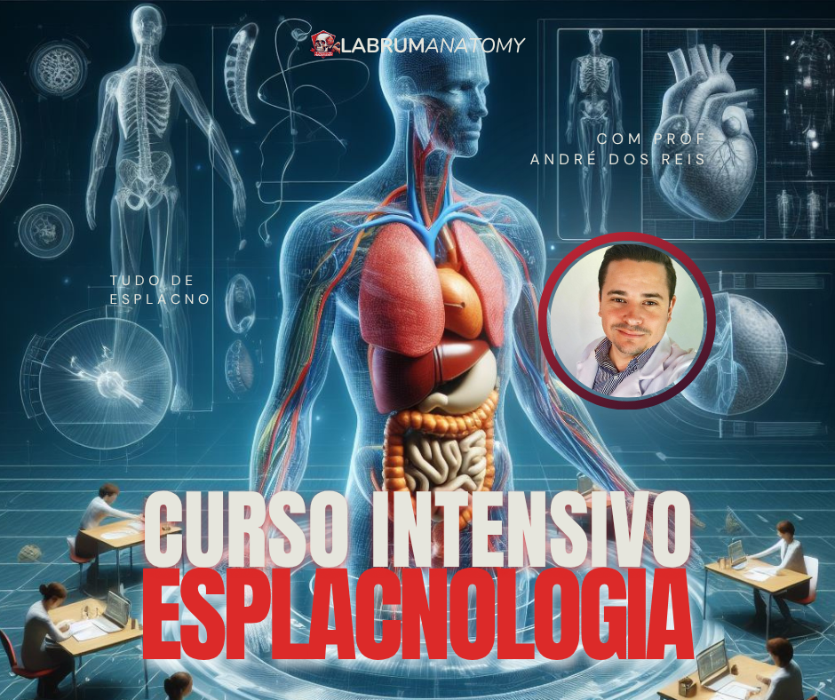 curso intensivo de esplacnologia