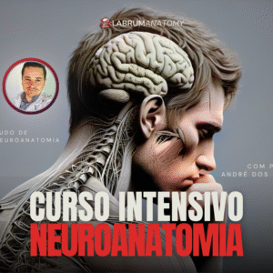 curso intensivo de neuroanatomia