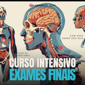 curso efi anatomia