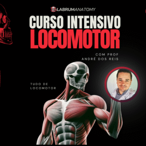 curso intensivo sistema locomotor